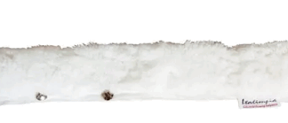 PAÑO PARA LIMPIAVIDRIOS AMBO